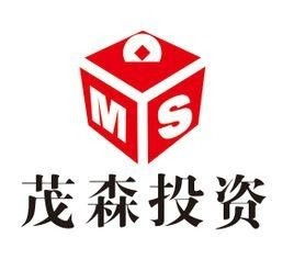 南昌茂森投資管理 專業(yè)投資管理服務(wù)的優(yōu)勢(shì)與前景