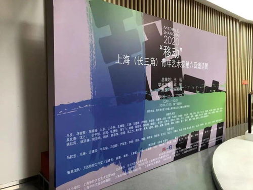 上海中外文化藝術交流協(xié)會2021年第一次工作會議 推動文化藝術交流新篇章